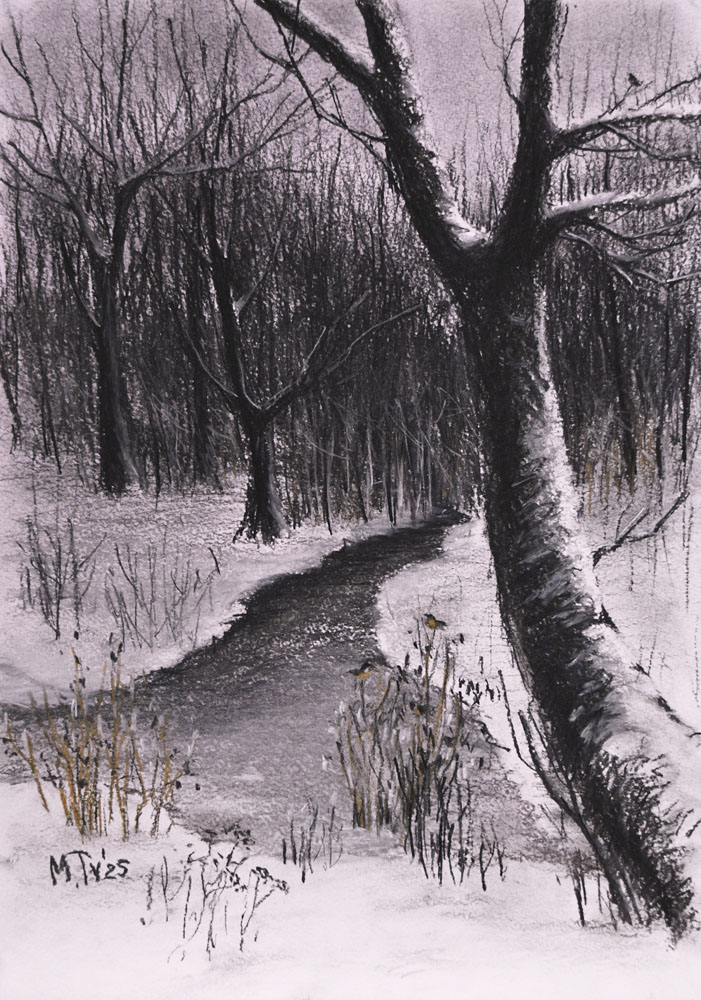 Зимний ручей