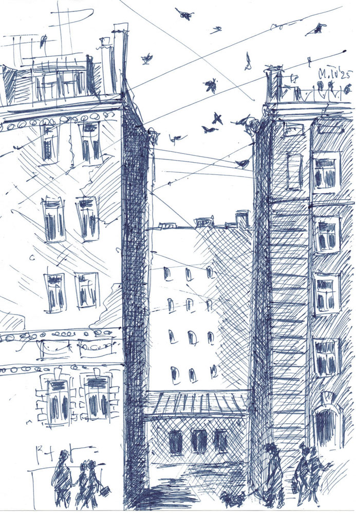 Птицы над городом