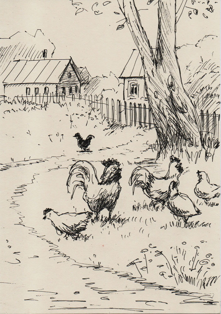 Птичья прогулка