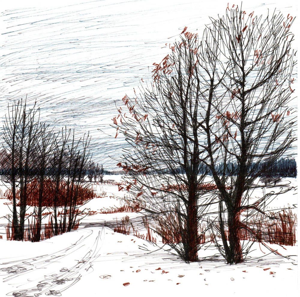 Зима в Завидове