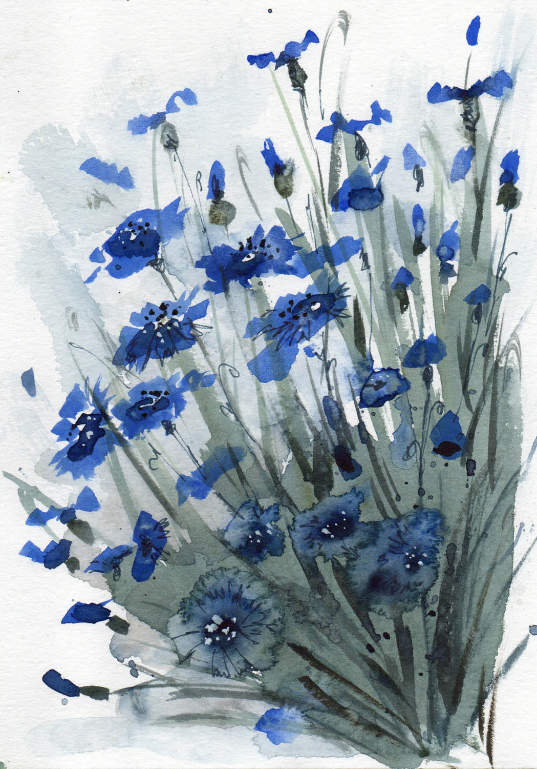 Букет васильков