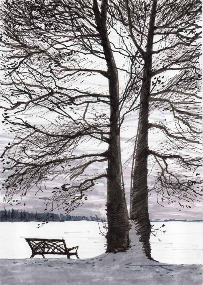 Зимний берег