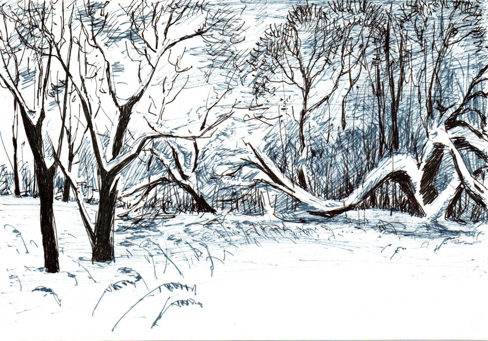 Зимняя опушка