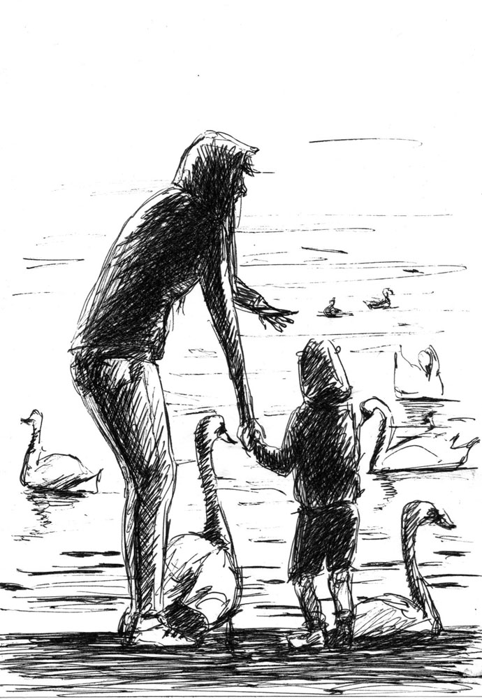 Смотри, лебеди!